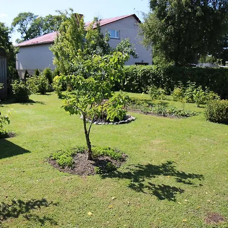 Lush Green Garden Campsite *